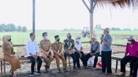 Presiden-Jokowi-Dorong-Kemandirian-Gula-Nasional-1-1024x792