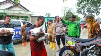 IMG-20221214-WA0019